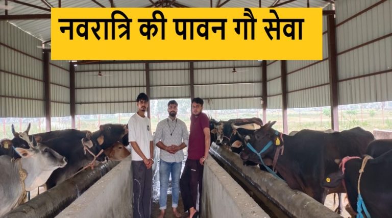 नवरात्रि की पावन गौ सेवा